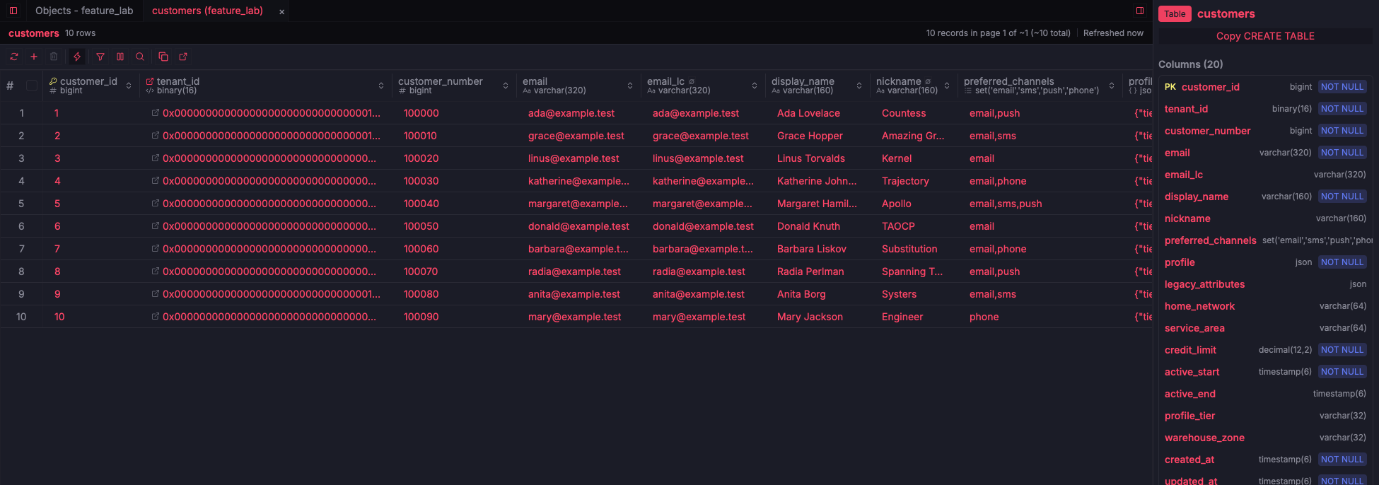 ZQLZ grid of a MySQL customers table with BINARY(16), SET, and JSON columns