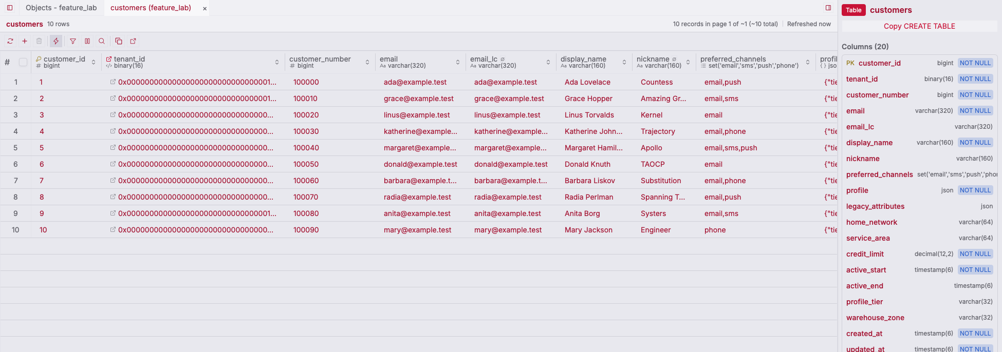 ZQLZ grid of a MySQL customers table with BINARY(16), SET, and JSON columns